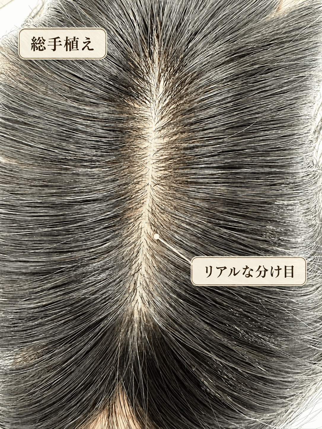 部分ウィッグ 女性用 ヘアピース トップピース 頭頂部ウィッグ トップカバー 白髪隠し 薄毛隠し 人毛100% 分け目カバー専用 部分ウィッグ 長細いベース4×13cm 約30cm トップカバー 自然な分け目 部分ウィッグ 女性用 ヘアピース トップピース 頭頂部ウィッグ トップカバー 白髪隠し 薄毛隠し 人毛100% 分け目カバー専用 部分ウィッグ 長細いベース4×13cm 約30cm トップカバー 自然な分け目
