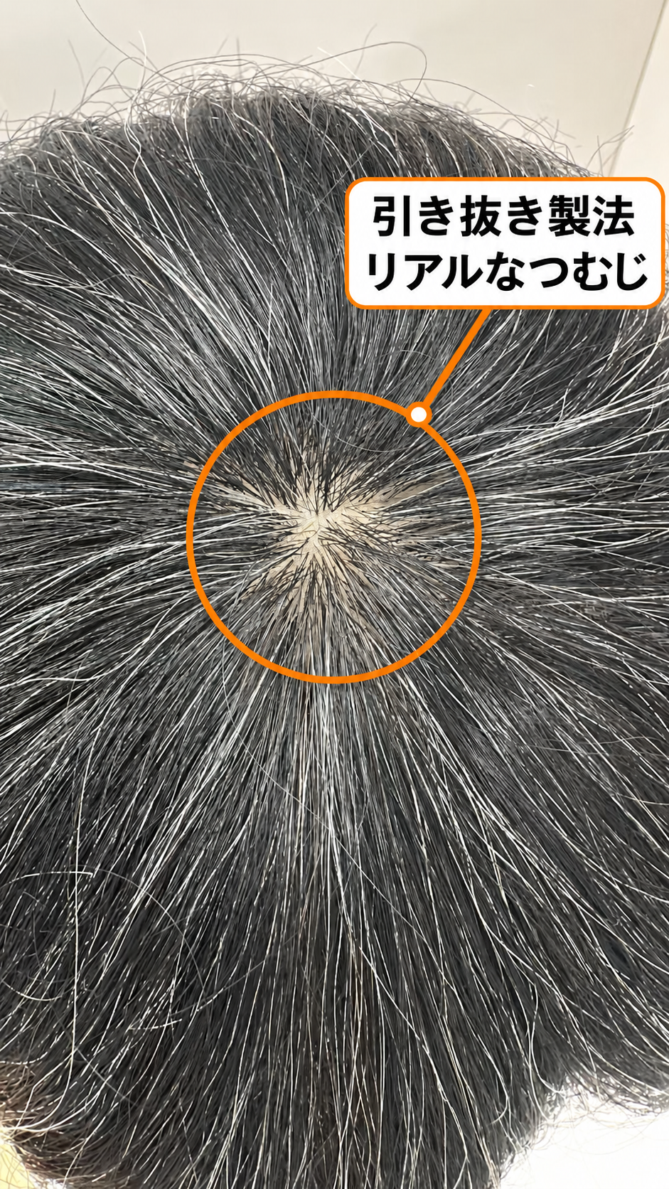 善徳 白髪ミックス フルウィッグ 白髪約10% 総手植え ノーカット 自然なつむじ アジャスト式 善徳 白髪ミックス フルウィッグ 白髪約10% 総手植え ノーカット 自然なつむじ アジャスト式